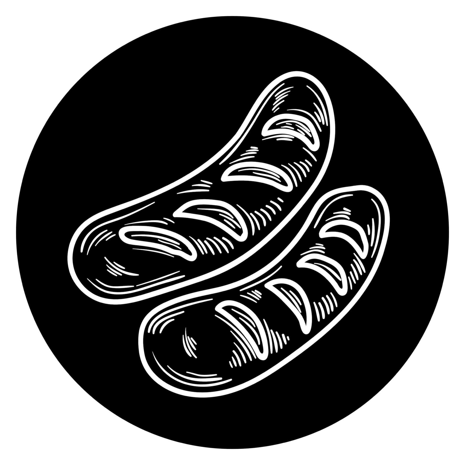 Spicy Sausage
